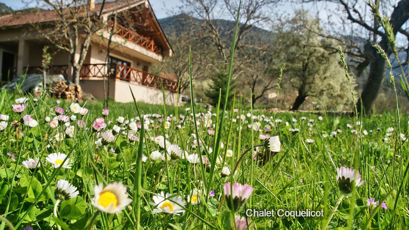 Chalet Coquelicot Калаврита Экстерьер фото