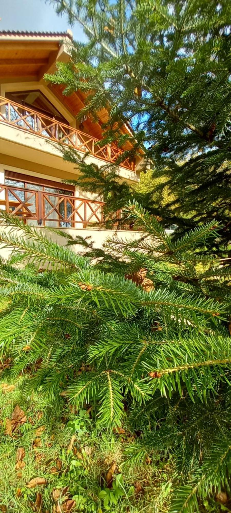 Chalet Coquelicot Калаврита Экстерьер фото